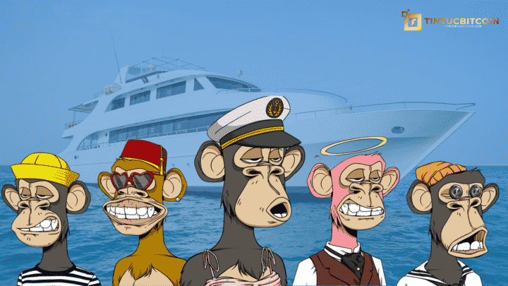 Bored Ape Yacht Club (BAYC) là gì?