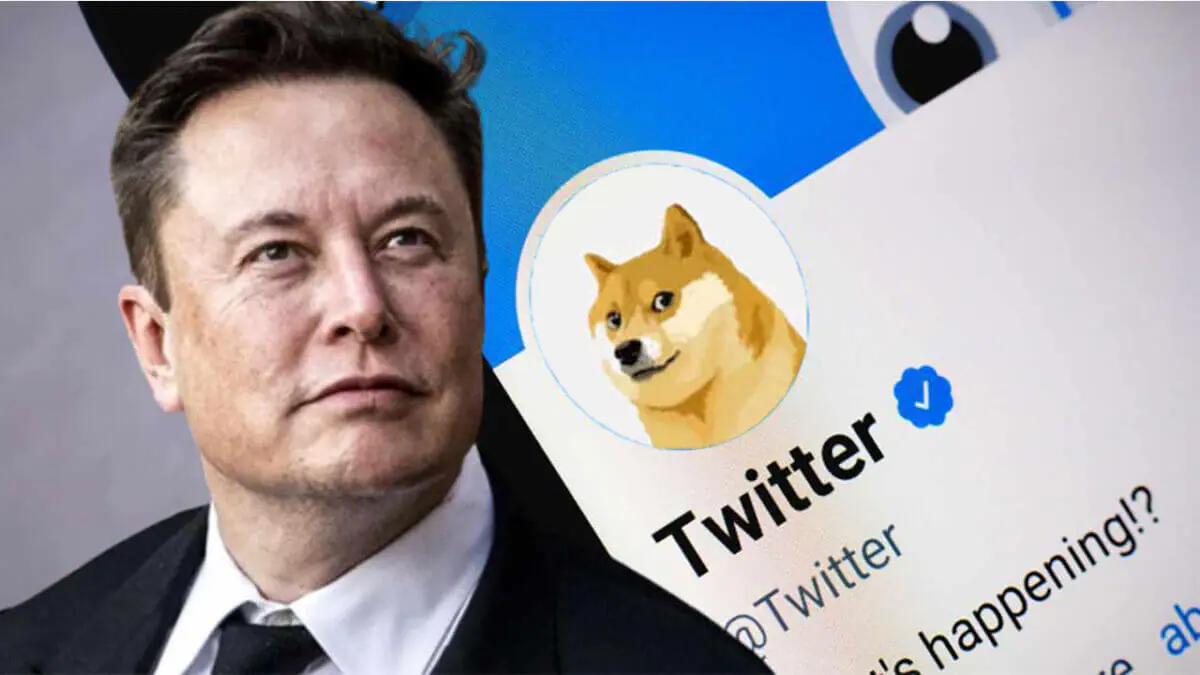 Elon Musk đã “bí mật” tài trợ phát triển Dogecoin