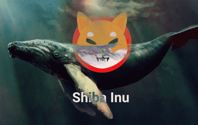Cá voi Shiba Inu tích lũy thêm 5,4 nghìn tỷ SHIB