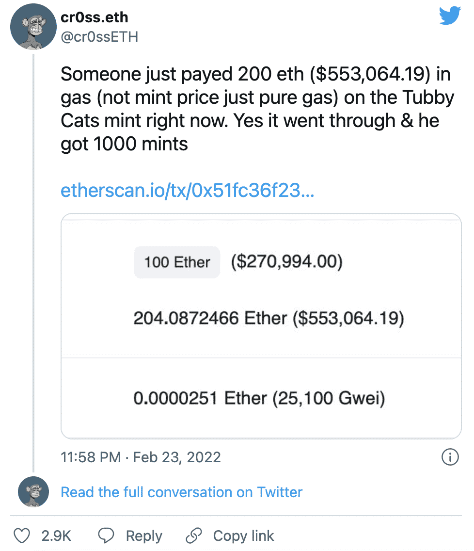 Một Trader NFT đã trả 500.000 USD để mint 1000 NFT Tubby Cats - Tin Tức Bitcoin 2024