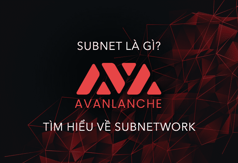 Subnet là gì? Tìm hiểu về Subnetwork "Vũ khí tối thượng" của Avax Scaling