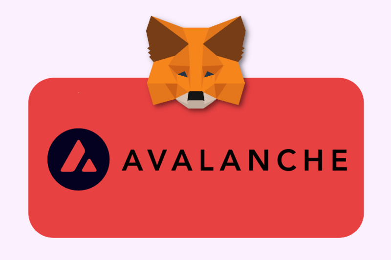 Hướng dẫn thêm mạng Avalanche vào MetaMask