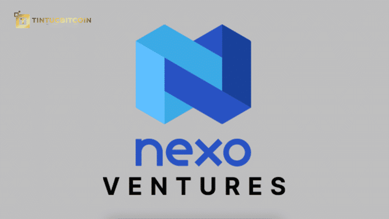 Nexo ra mắt quỹ đầu tư Web3 trị giá 150 triệu đô la