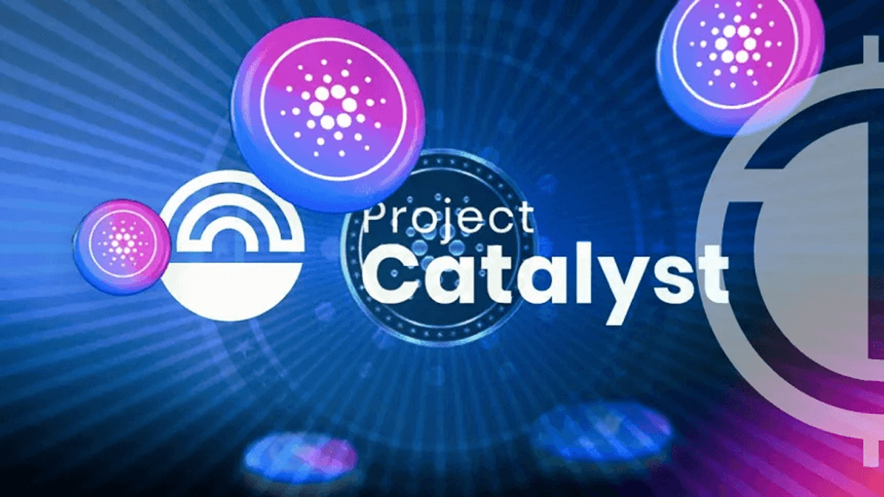 Quỹ Catalyst của Cardano thu hút 300K phiếu bầu trên 1.400 đề xuất