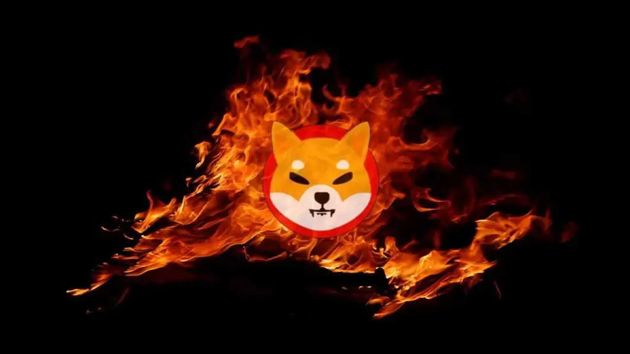 Shiba Inu công bố tự động đốt SHIB trên Puppynet