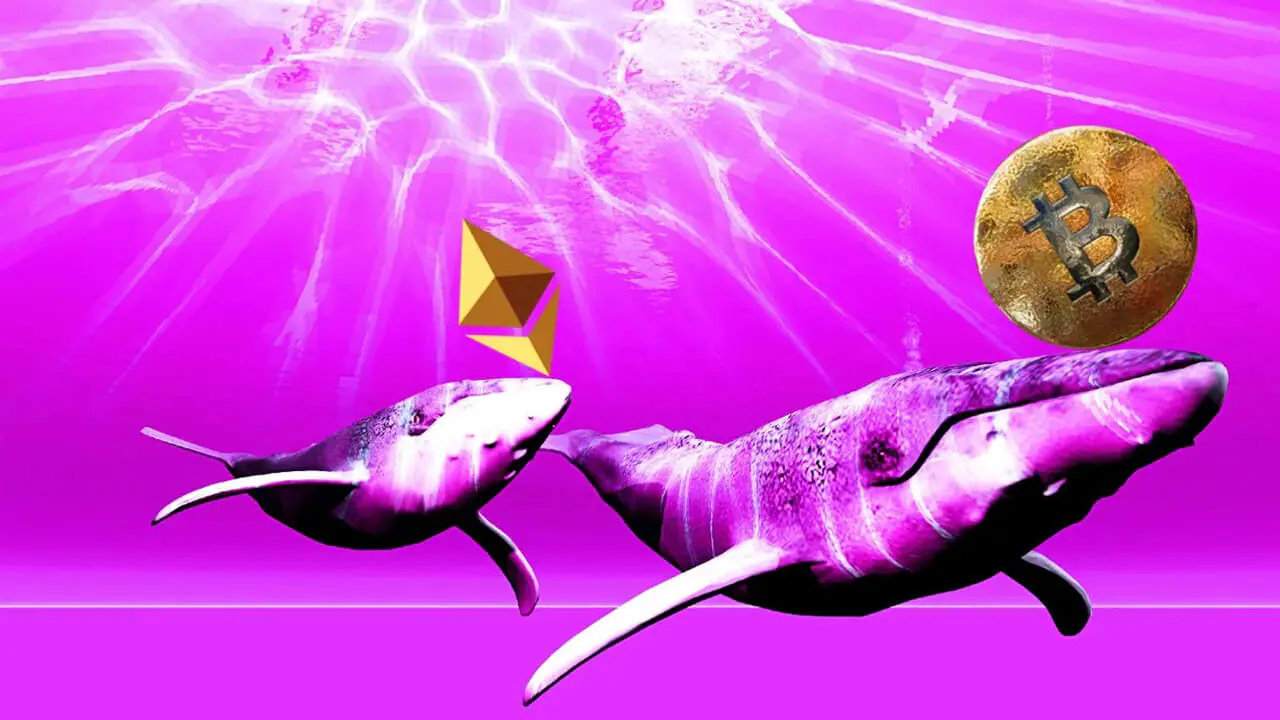 Cá voi Bitcoin và cá voi Ethereum không giống nhau