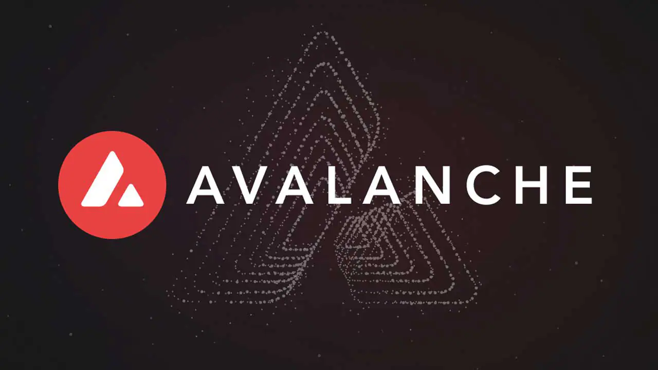 IEEE hợp tác với Avalanche Blockchain 