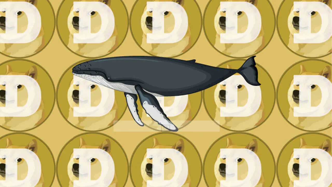Cá voi chuyển gần 333 triệu DOGE sang Binance