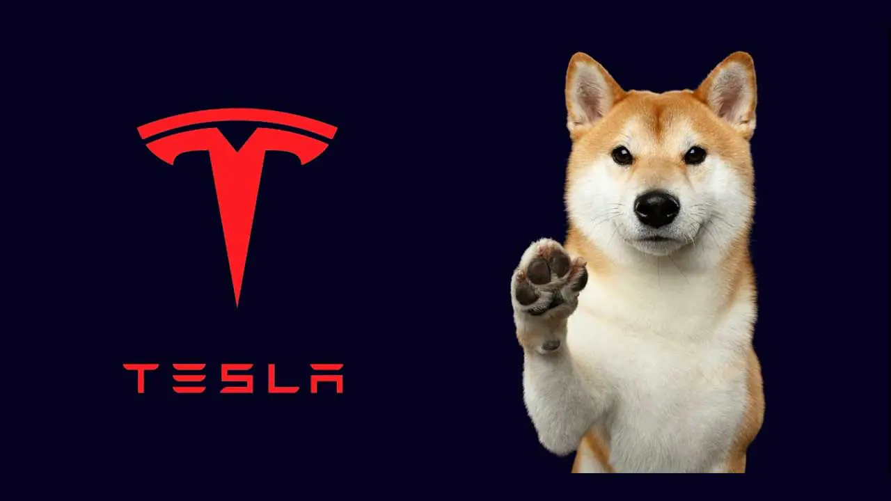 Tesla chấp nhận thanh toán Dogecoin cho CyberTruck
