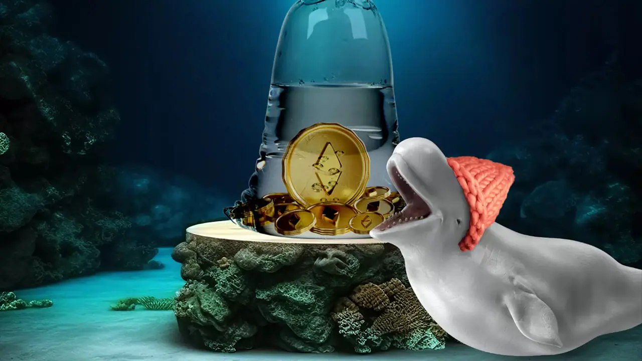 Dogwifhat giúp cá voi Ethereum kiếm 1,77M USD trong vài phút