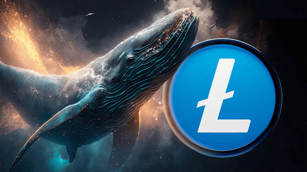 Cá voi Litecoin gửi 100 nghìn LTC vào Binance
