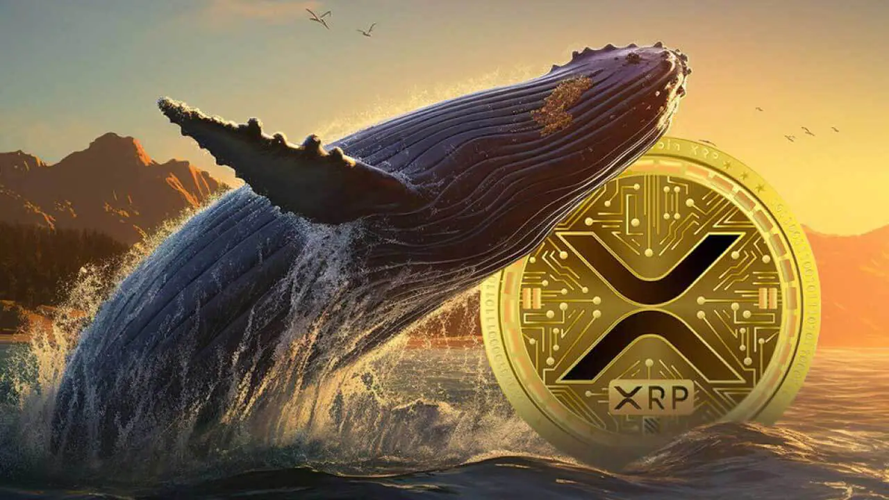 Cá voi XRP tích luỹ 27 triệu token