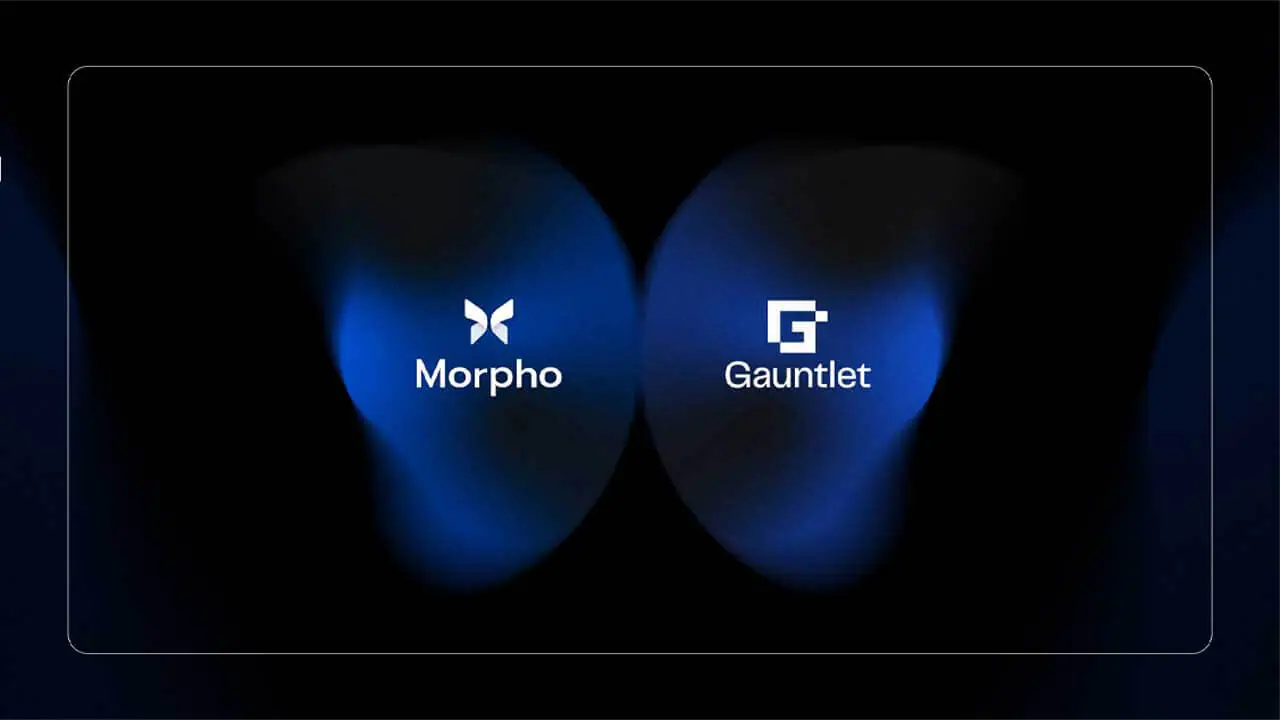 Gauntlet hợp tác với Morpho