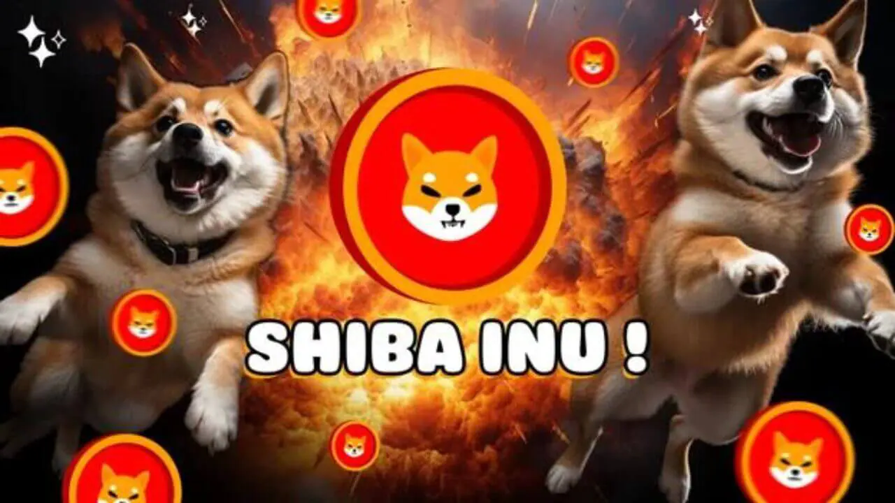 Shiba Inu sẽ vượt trội hơn Dogecoin vào năm 2024
