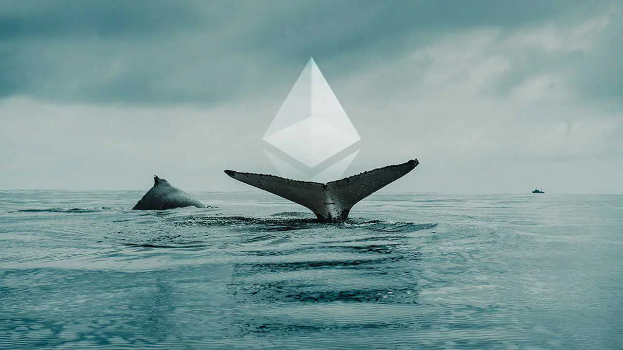 35 triệu USD Ethereum vừa được cá voi tích luỹ