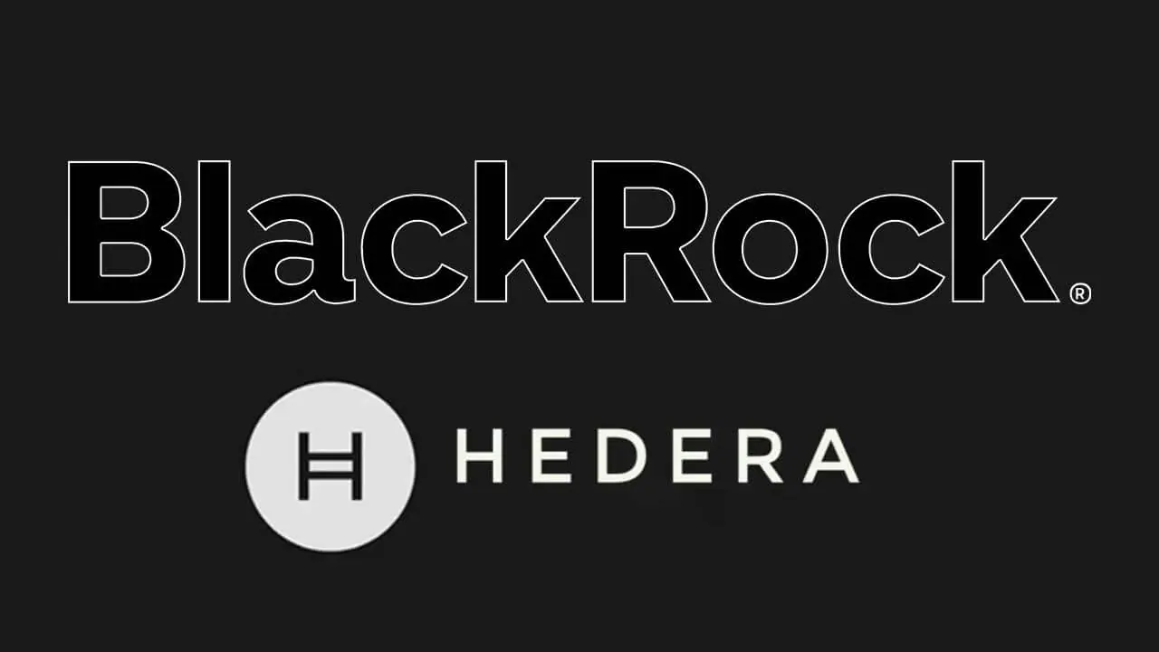BlackRock không hợp tác thương mại với HBAR