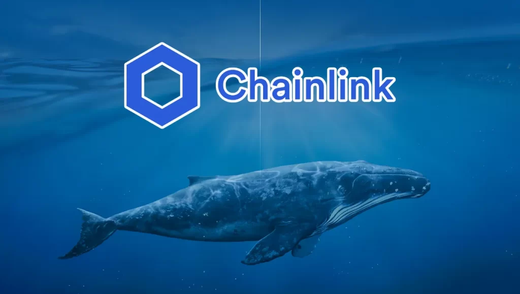 Cá voi Chainlink tích lũy 216 triệu USD, Dự báo tăng trưởng bùng nổ