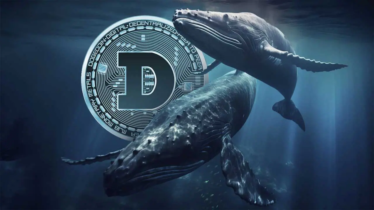 Cá voi Dogecoin rút hơn 52 triệu USD từ Binance