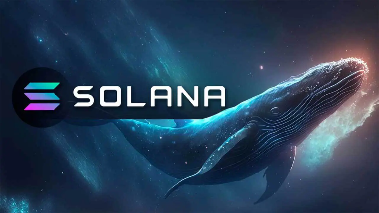 Cá voi Solana di chuyển hơn 2 triệu SOL