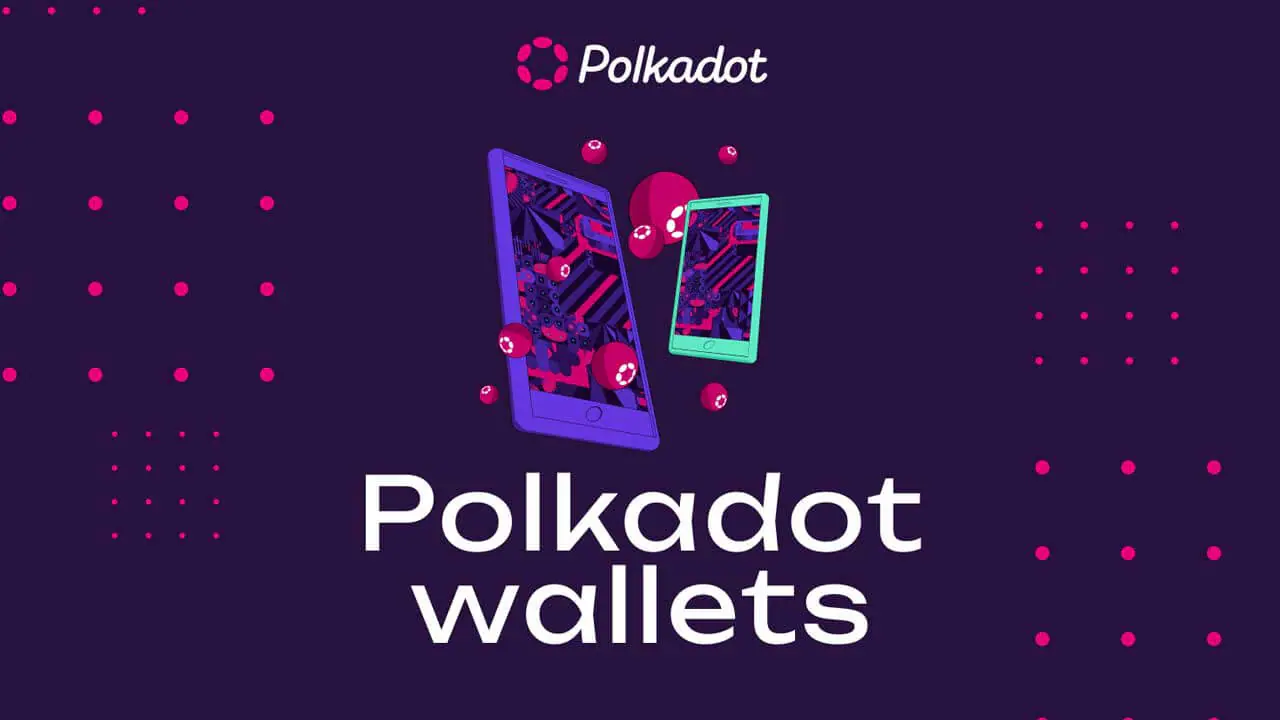 5 ví Polkadot (DOT) tốt nhất nên xem xét vào năm 2024