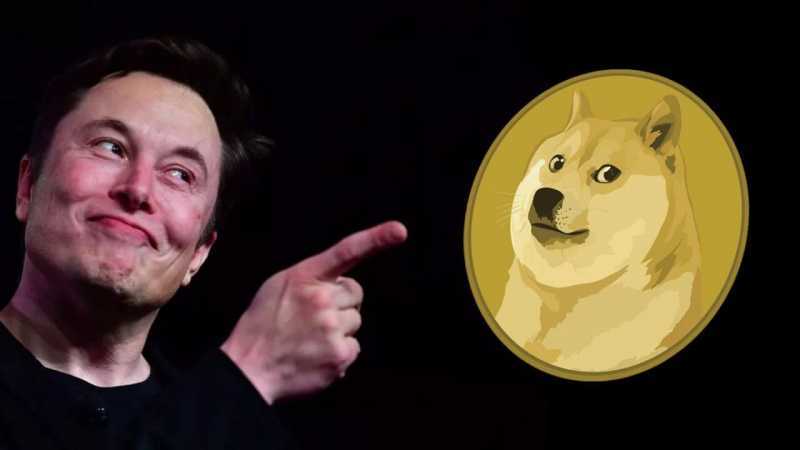 Elon Musk mua DOGE bất chấp giá giảm và mùa đông tiền điện tử